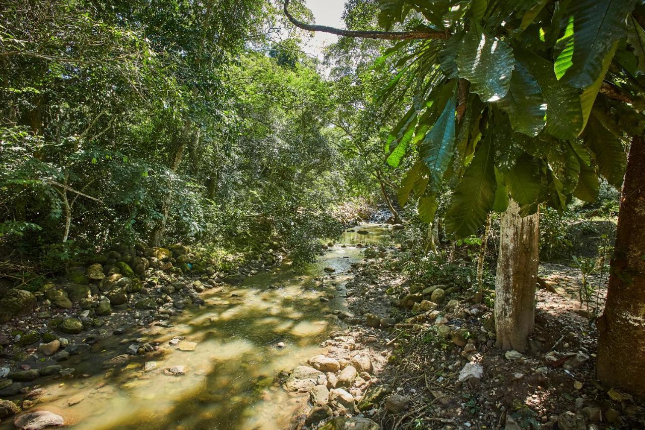 Villa Lu Amazon Ecolodge Тарапото Екстериор снимка
