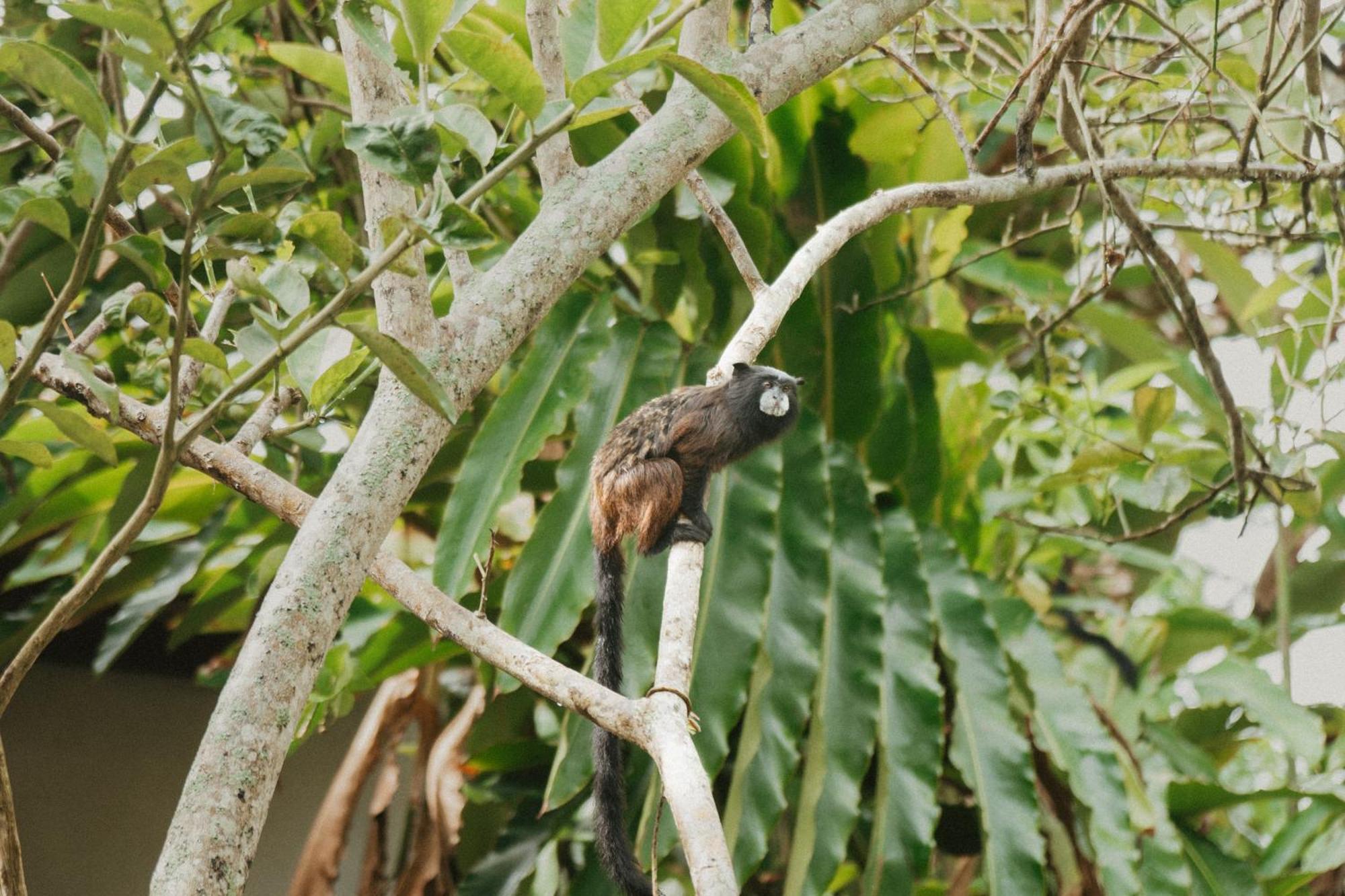 Villa Lu Amazon Ecolodge Тарапото Екстериор снимка