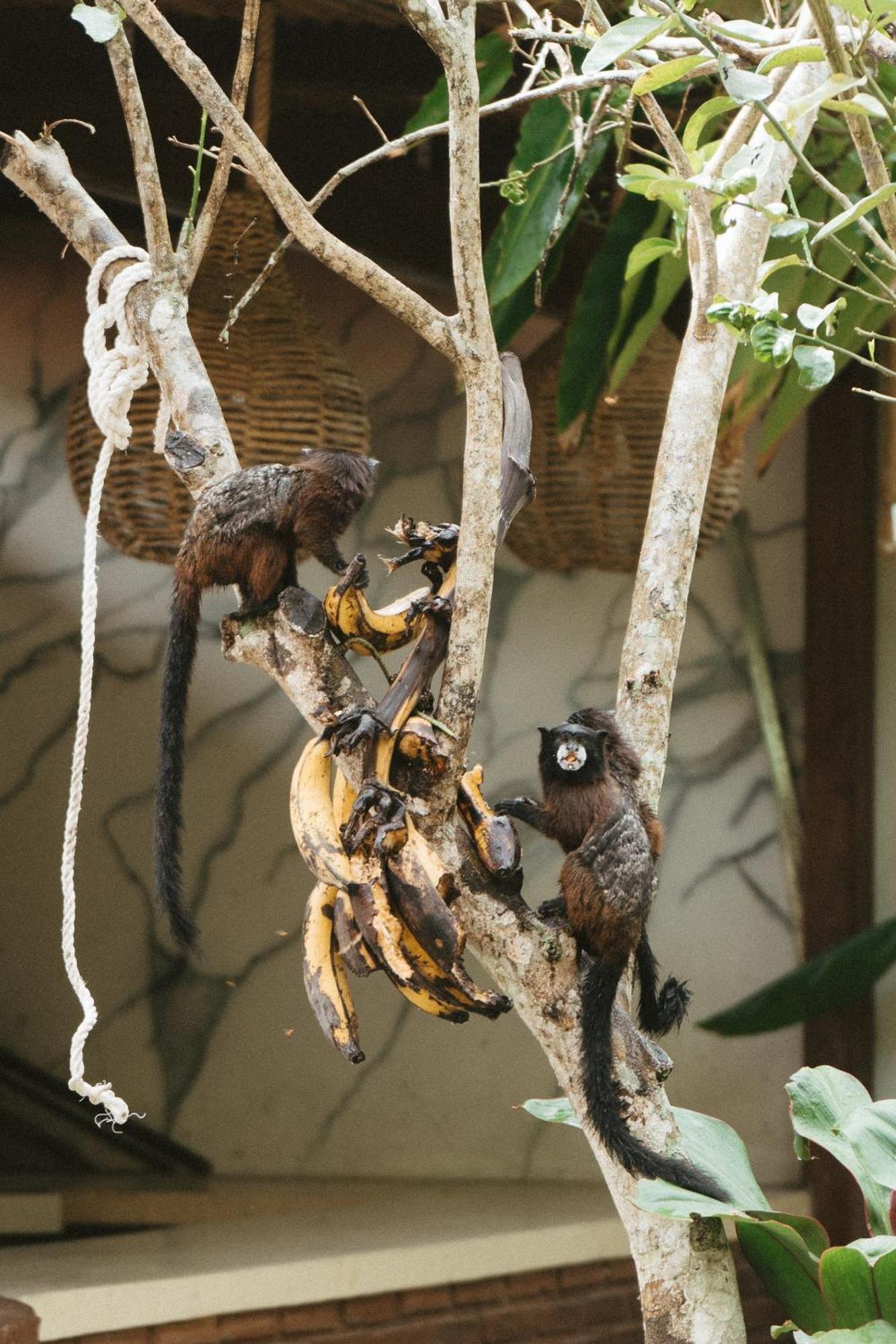 Villa Lu Amazon Ecolodge Тарапото Екстериор снимка